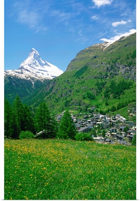 Wild flowers in a meadow with the town of Zermatt and the Matterhorn behind, Switzerland