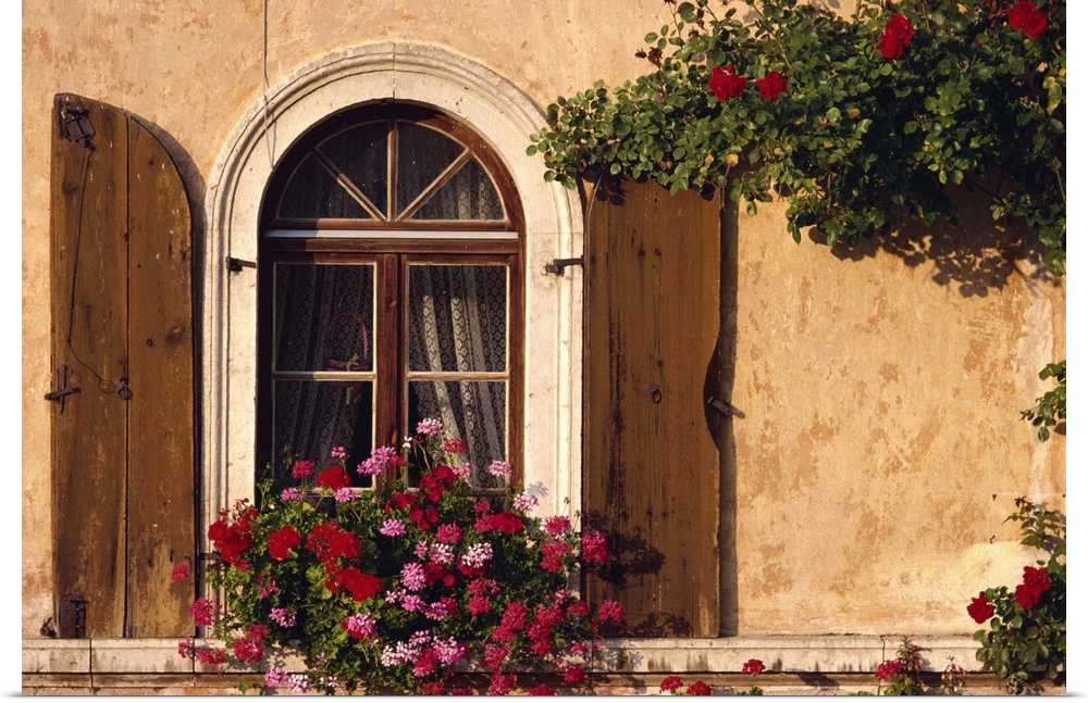 Window with shutters and window box, Italy