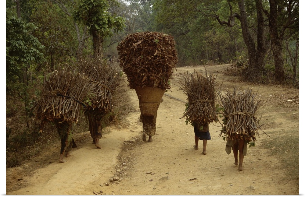 Women and children walking on a country road, carrying bundles of firewood, Chautara, north of Kathmandu, Nepal
