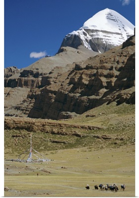 Yak train approaches Tarboche, prayer flag pole in Lha Chu canyon, Tibet, China