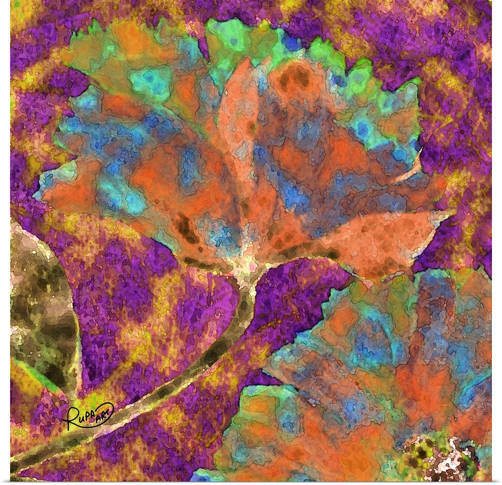 Square abstract art with a floral print made out of curvy lines and filled in with watercolor-like colors.
