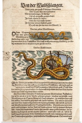1558 Gessner Sea Serpent
