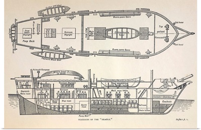 1832 Darwin's ship HMS Beagle plan