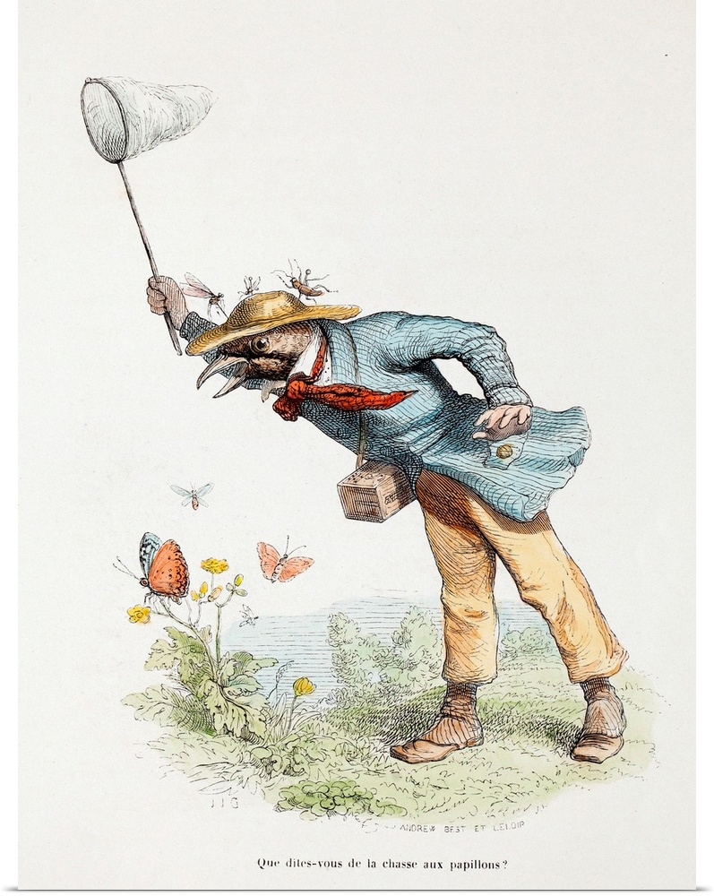 A butterfly collector. Antique Lithograph Published 1842-53, Paris for \Scenes de la vie privee et publique des animaux\" ...