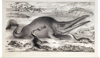 1858 Prehistoric marine reptiles