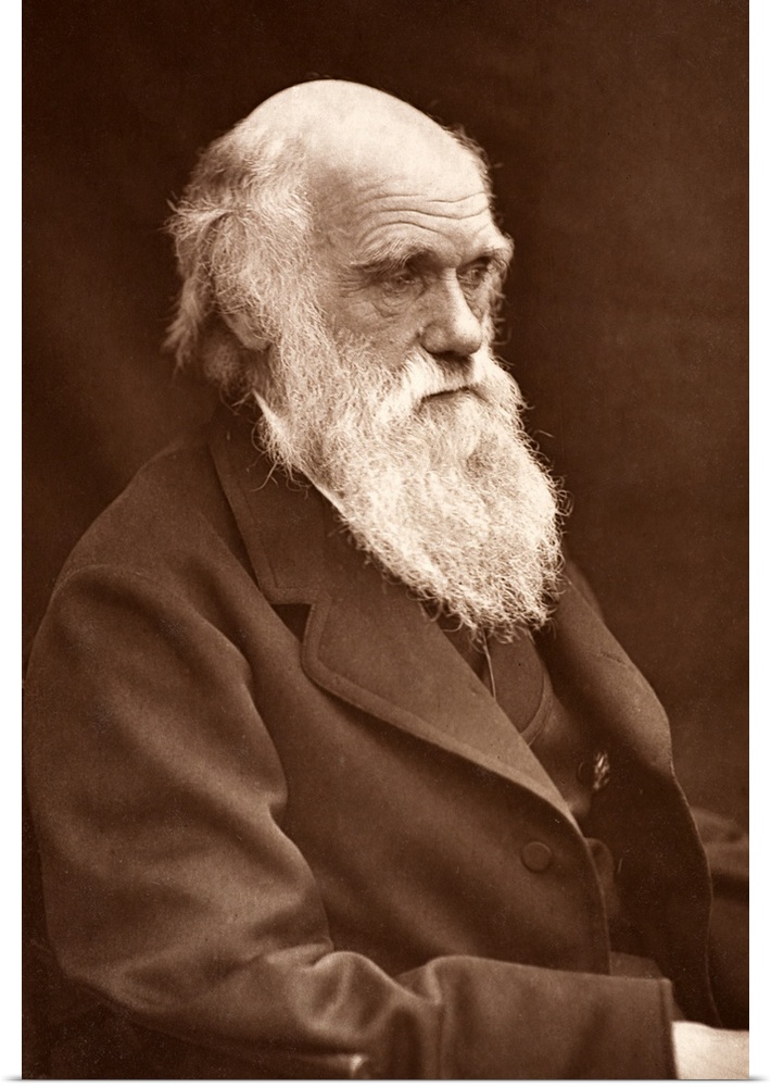 Photograph of Charles Darwin taken by his son Leonard around 1874 when Darwin was in his mid sixties. It appeared in \Char...