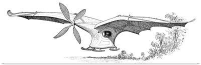Ader's flying machine, 19th century
