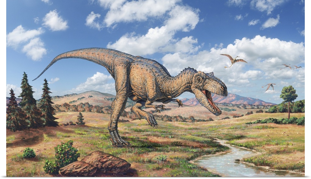 Allosaurus dinosaur, artwork. Allosaurus patrolling its territory, marked by a stream. Allosaurus was a large carnivorous ...