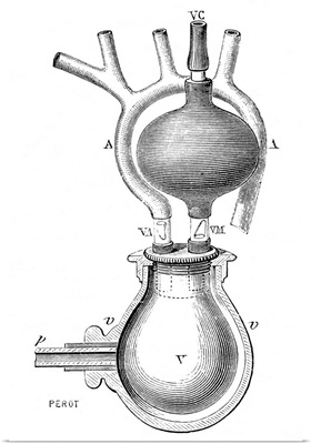 Artificial heart, 19th century
