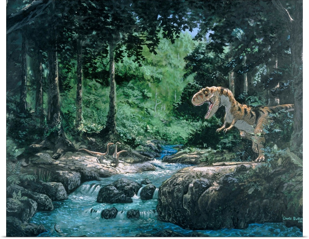 Tyrannosaurus Rex. Artwork of a Tyrannosaurus rex dinosaur hunting in a forest. Tyrannosaurus (\tyrant reptile\) was a lar...