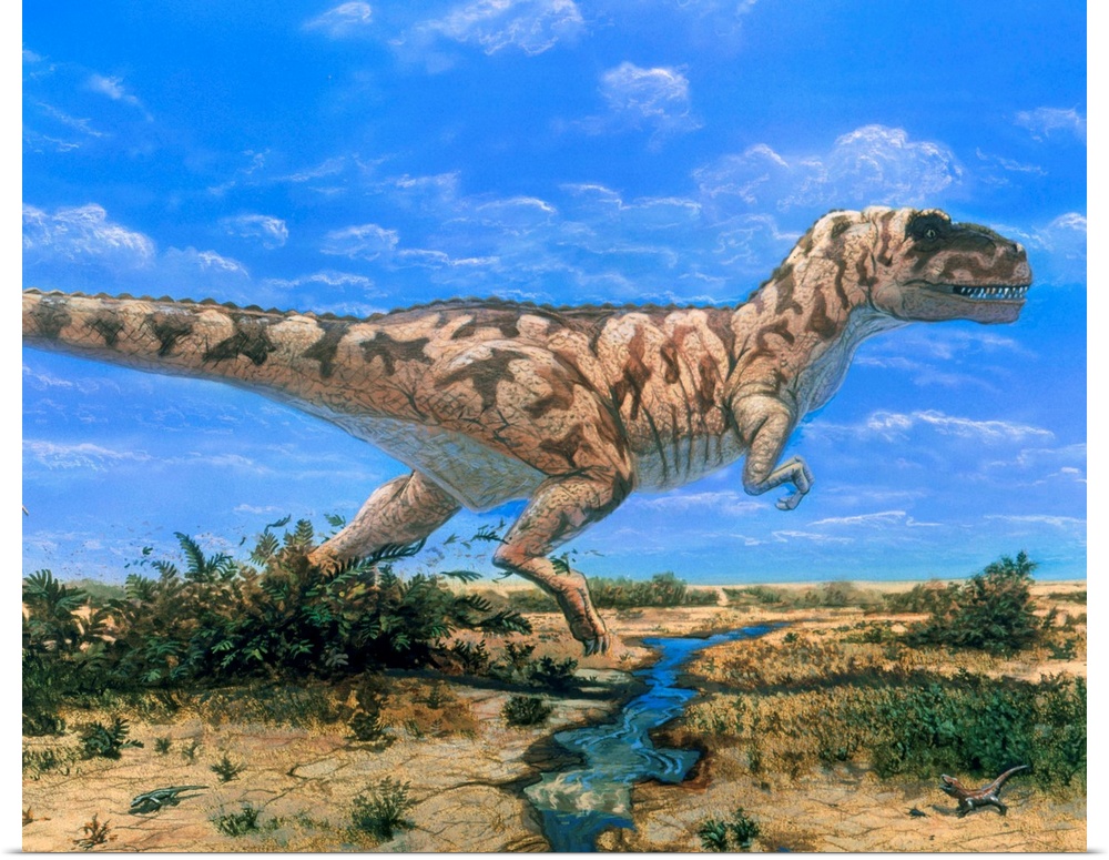 Tyrannosaurus Rex. Artwork of a Tyrannosaurus rex dinosaur running after prey (not seen here). Tyrannosaurus (\tyrant rept...