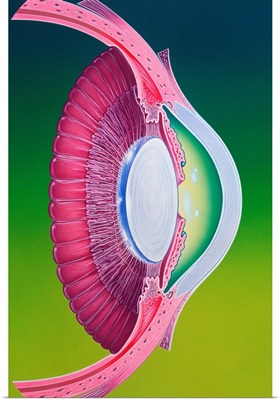 Artwork of eye
