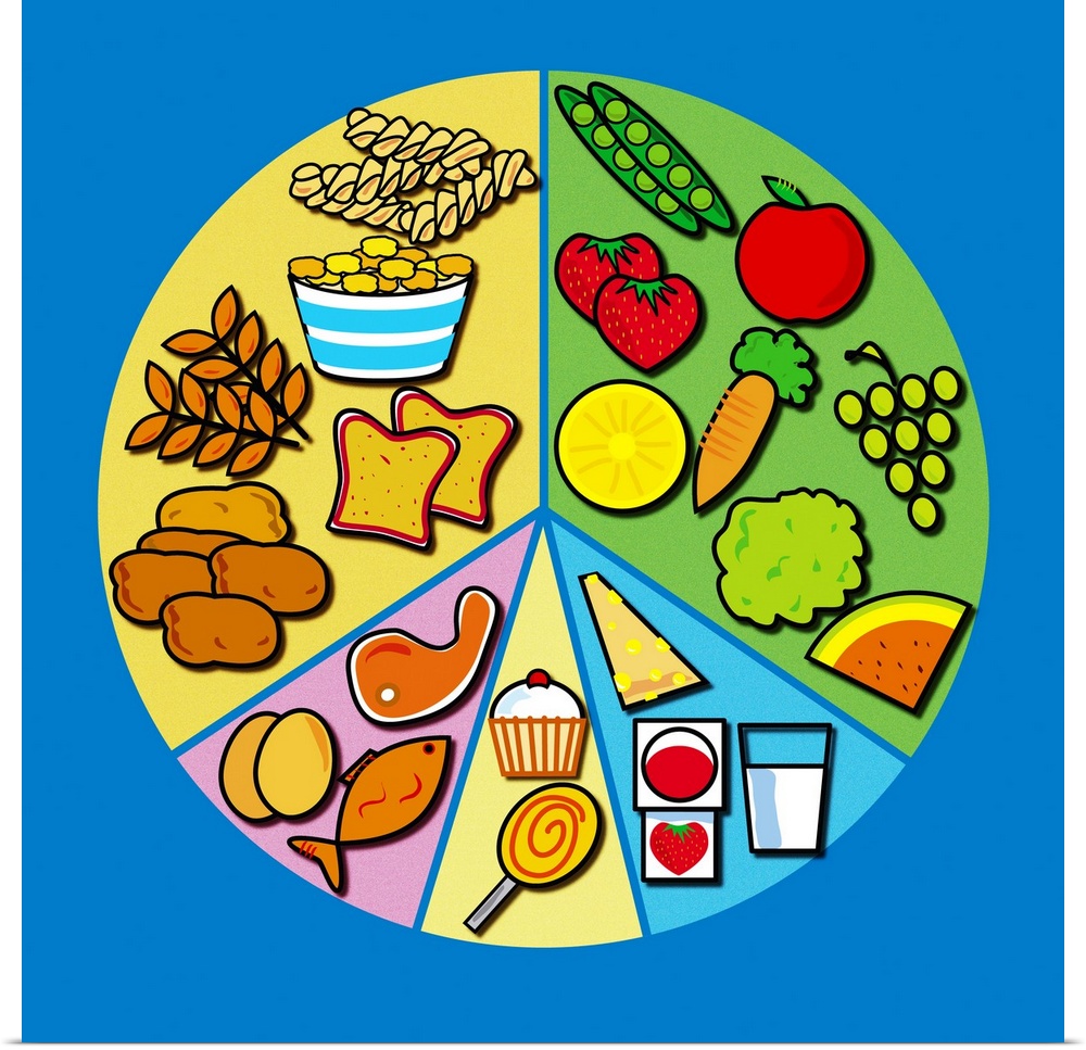 Balanced diet, computer artwork. A balanced diet shown as segments of a pie. The pie shows what proportion of the diet sho...