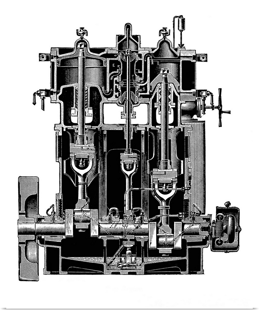 Bellis and Morcom steam engine. Cutaway artwork of a front-section through a double-acting steam engine. This design was d...