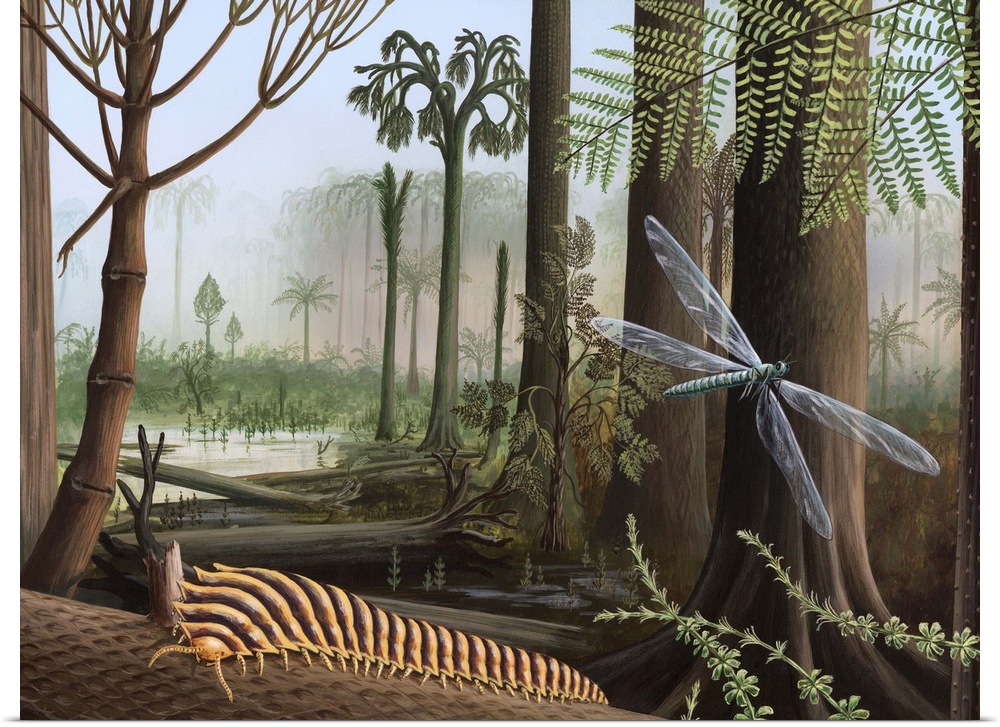 Carboniferous insects. Artwork of a millipede (Arthropleura) and a dragonfly (Meganeura) in the forests of the Carbonifero...
