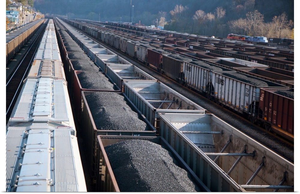 Freight trains carrying coal in a railway yard. Williamson, West Virginia
