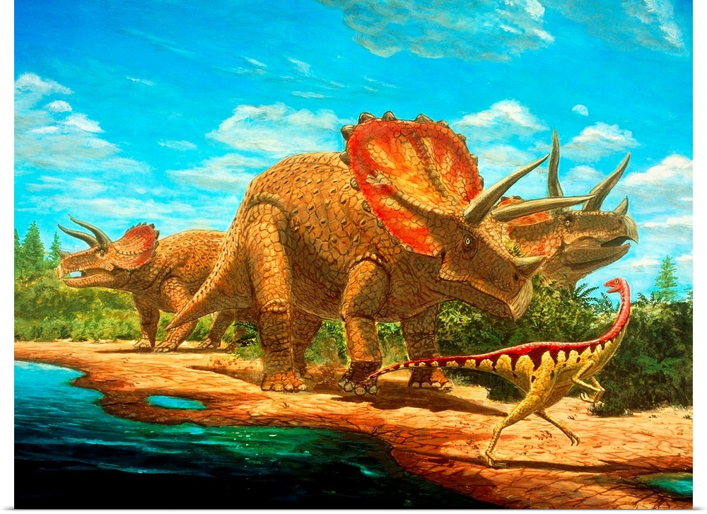 Cretaceous dinosaurs. Artwork of two types of dinosaur that lived during the Cretaceous period (around 70-65 million years...