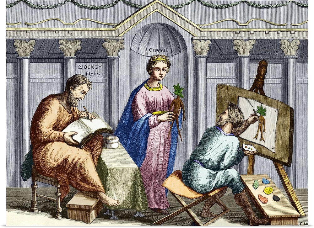 Pedanius Dioscorides (c.40-c.90 AD), ancient Greek physician. Coloured historical artwork of Dioscorides (pictured at left...