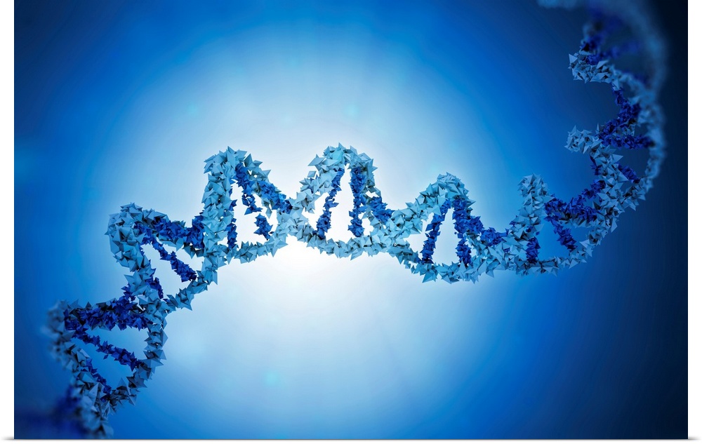Deoxyribonucleic acid (DNA), computer illustration.