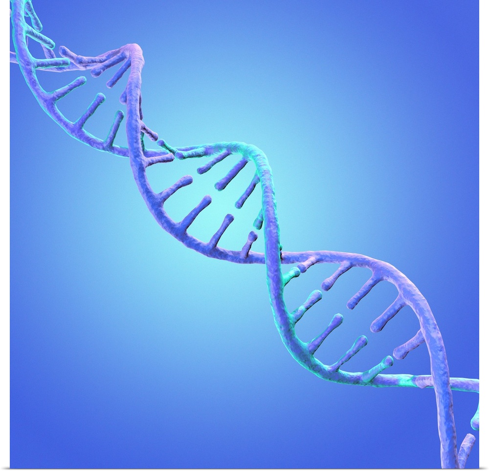 DNA (Deoxyribonucleic acid) strand against a blue background, illustration.
