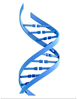 DNA Strand, Illustration