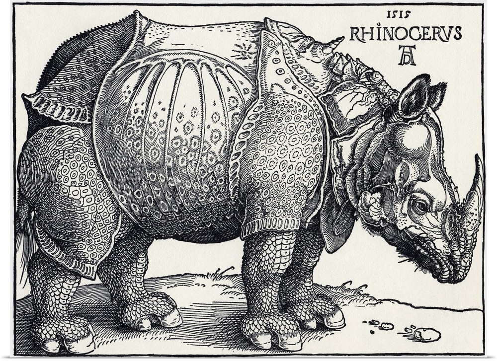 Durer's Rhinoceros, 1515. Albrecht Durer (1471- 1528) was a German artist. His skillful use of perspective and mathematica...