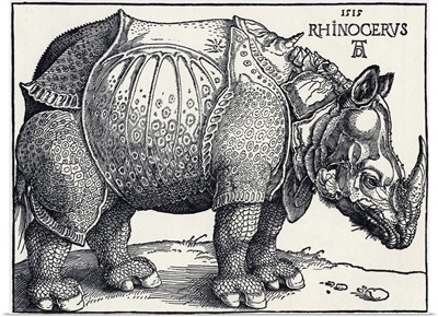 Durer's Rhinoceros, 1515