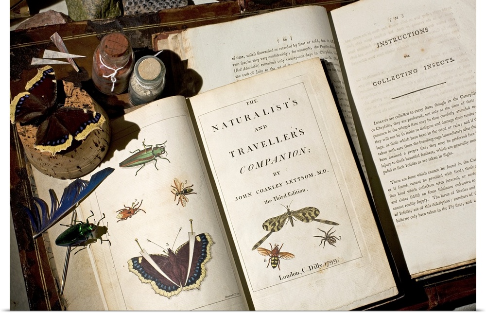 Two books on collecting natural history specimens (particularly insects) published at the end of the 18th century. They wo...