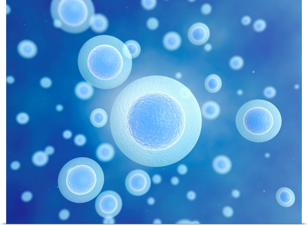 Egg cells against a blue background, illustration.