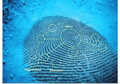 Fingerprint, computer artwork