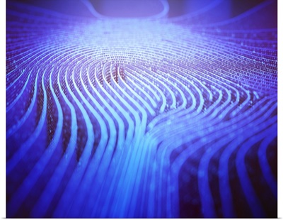 Fingerprint Shape In Binary Code, Illustration