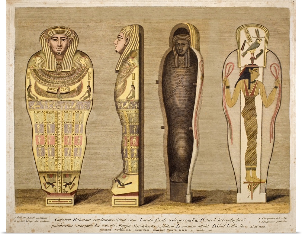 Hand coloured engraving by George Vertue 1724 for the London Society of Antiquaries. It shows the mummified body in carton...
