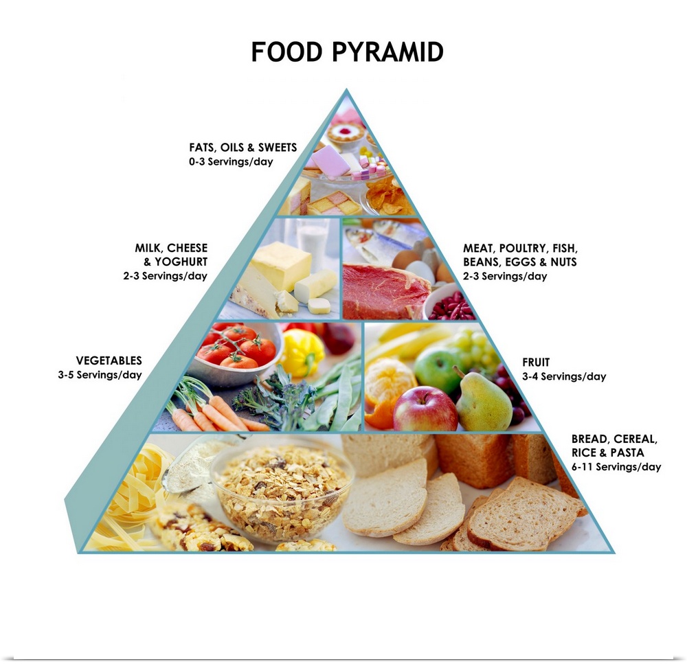 Food pyramid showing the recommended proportions of food types for a healthy, balanced diet. The largest part of the diet ...