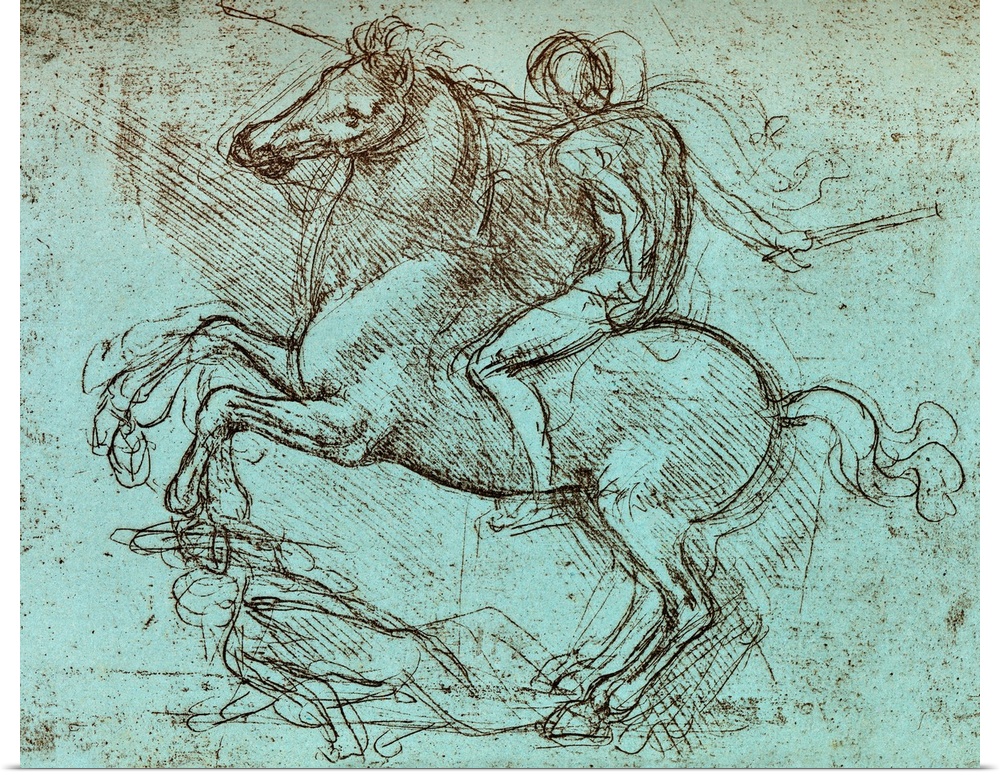 Franscsco Sforza, military leader. Historical artwork of a rider on a rearing horse by the Italian artist, engineer and sc...