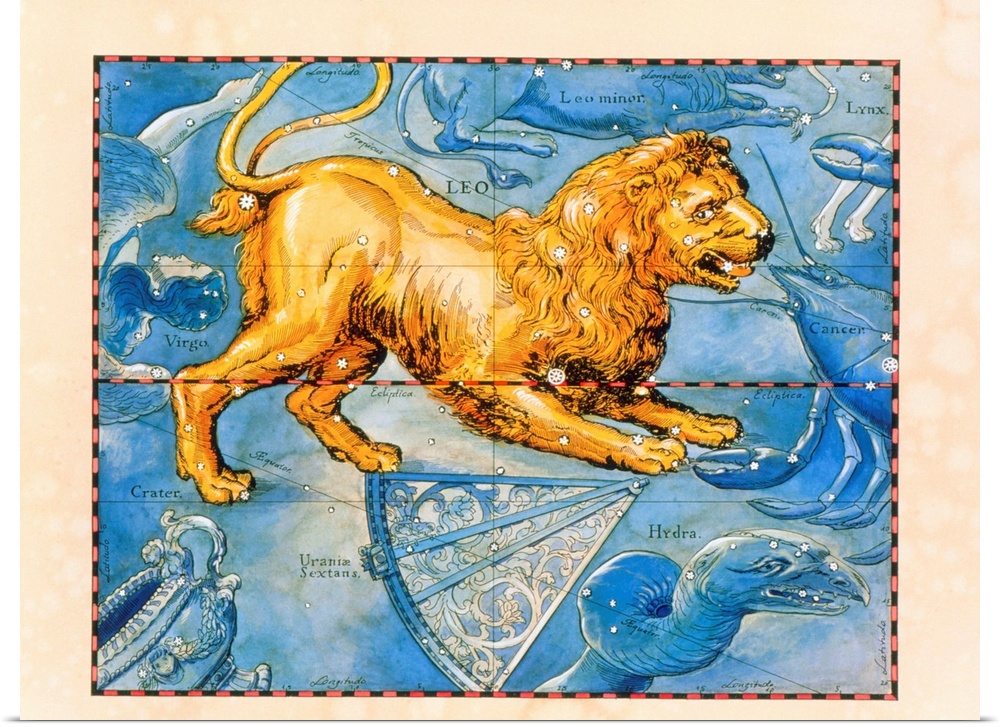 Leo. Coloured historical artwork of the constellation of Leo. The constellation is depicted as a lion. Leo is the fifth si...