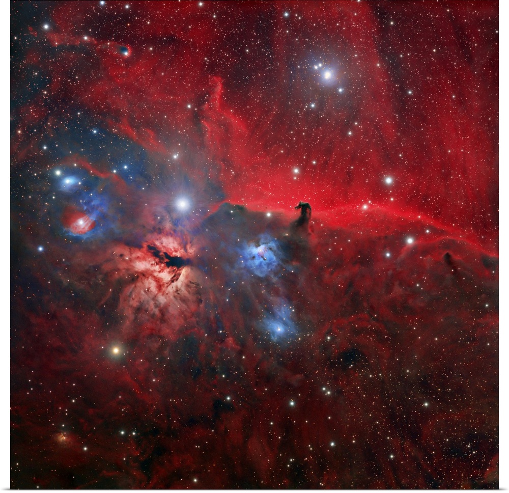 Horsehead and Flame nebulae. Optical image of part of the Orion nebula complex, an enormous starbirth region some 1500 lig...