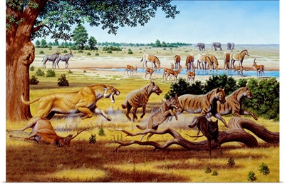 Hunting sabre-toothed cat