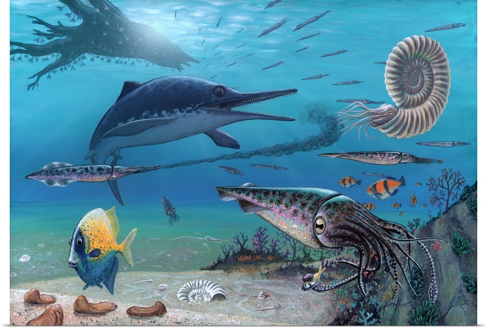 Ichthyosaur and prey. Artwork of an Ichthyosaurus marine reptile (centre left) hunting its prey, a belemnite (far left), d...