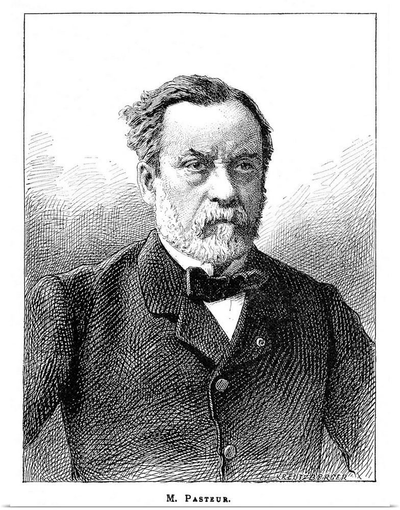 Louis Pasteur (1822-1895), French microbiologist and chemist. Pasteur found that fermentation is caused by micro-organisms...
