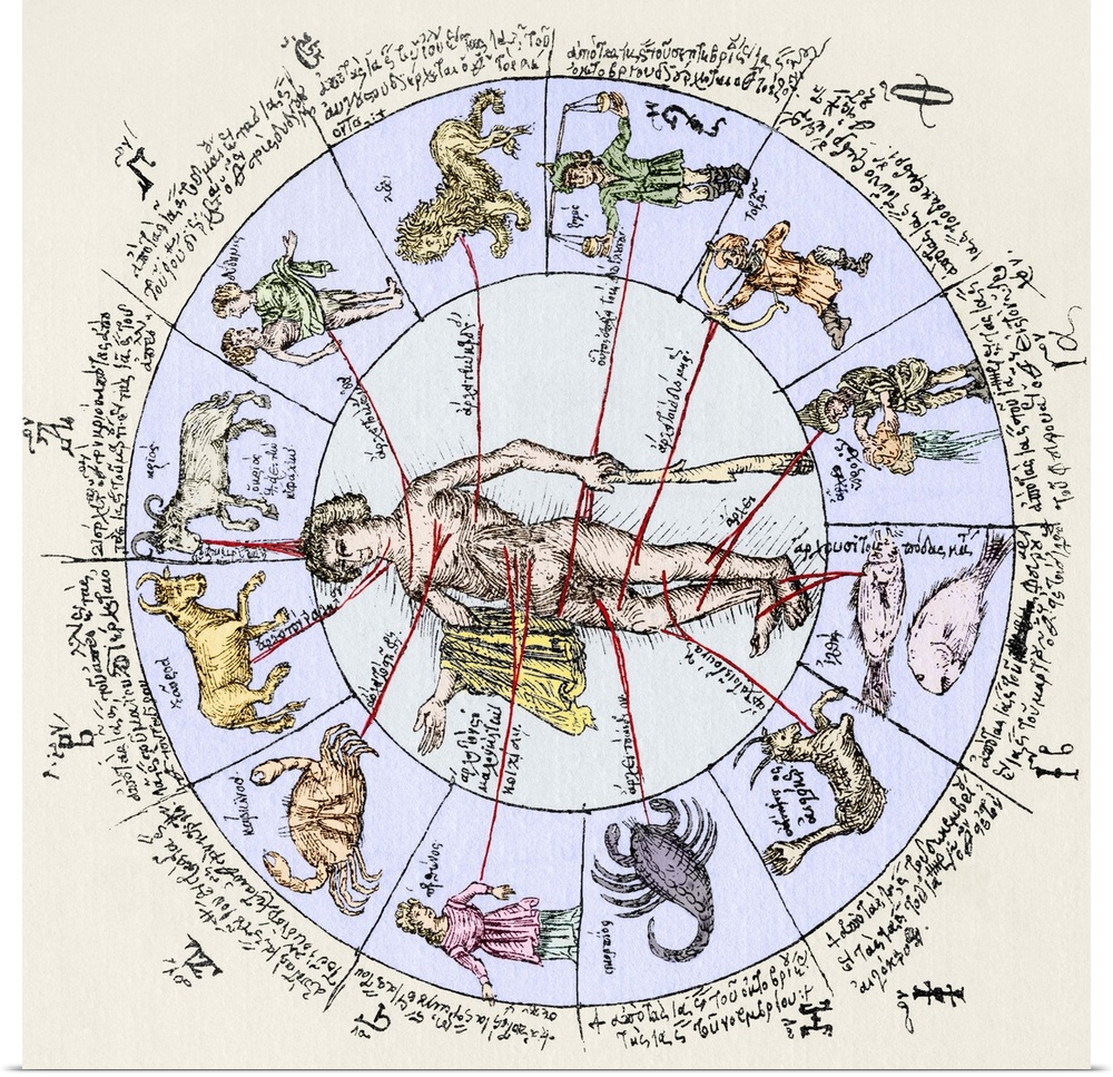 Medical zodiac. 15th century diagram with Greek text illustrating how the human body relates to the zodiac signs. Such inf...