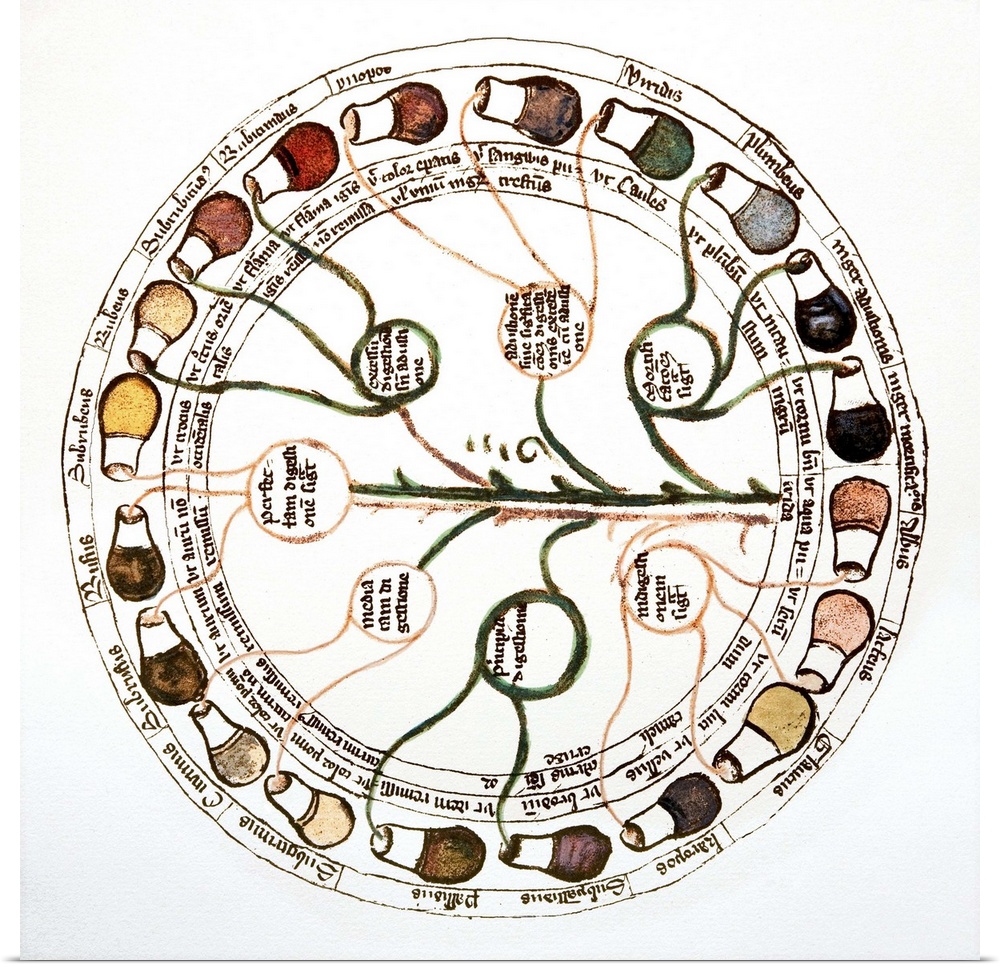 Medieval urine wheel. Labelled in Latin, this 15th century diagram shows some of the possible colours of urine (outer edge...