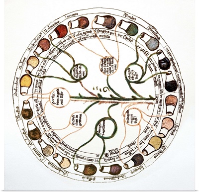 Medieval urine wheel