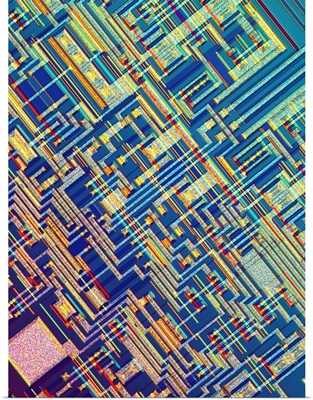 Microchip, light micrograph