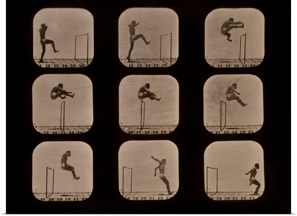Muybridge motion study. Series of early photographs showing the motion of an athlete carrying out a walking leap over a hu...
