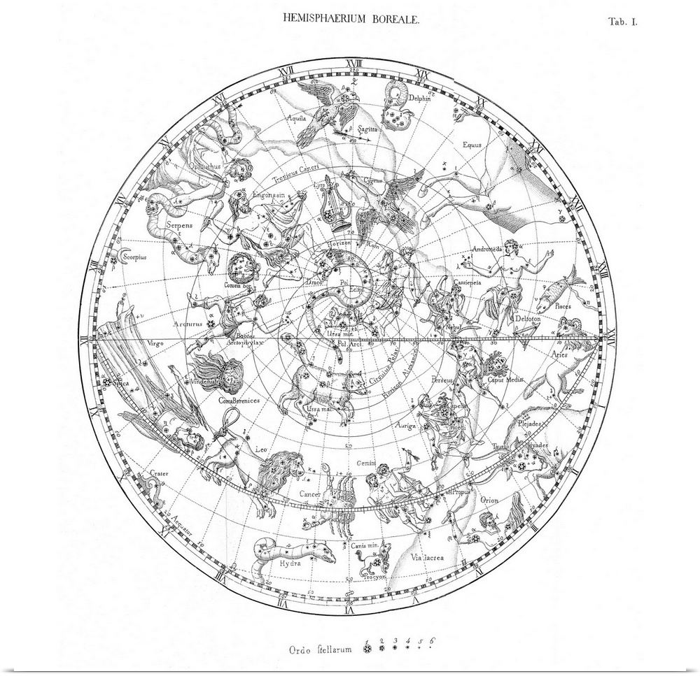 Northern celestial map. Historical map of the sky of the northern hemisphere, showing the stars and mythological drawings ...