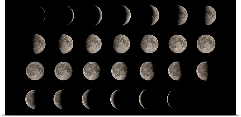 Composite image showing the moon at each stage of its 28 day cycle or a lunar month.