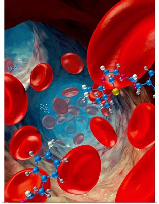 Red blood cells and molecules, artwork