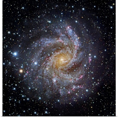 Spiral Galaxy NGC 6949, Optical Image
