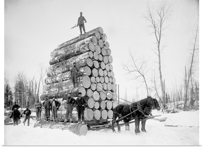 Timber Logging, Late 19th Century
