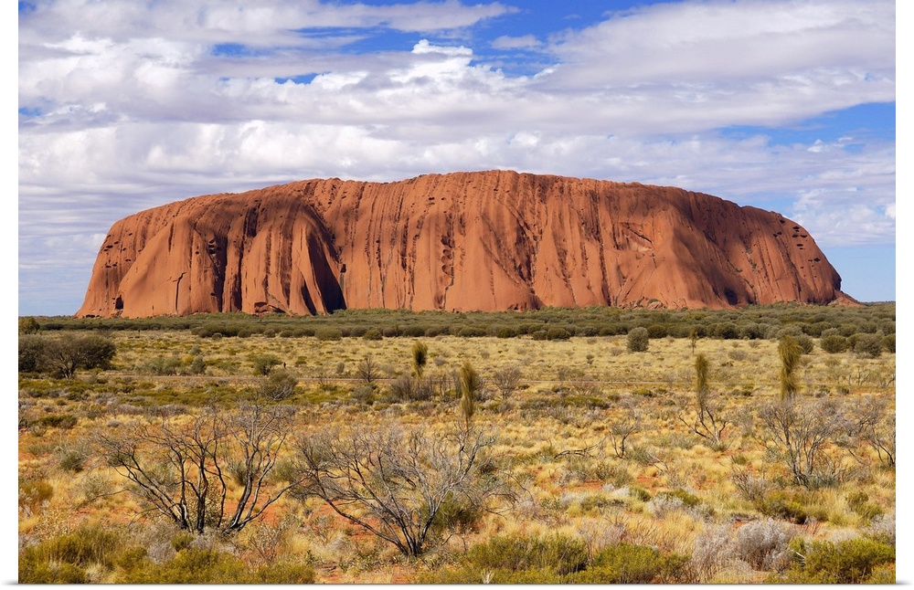 Uluru (Ayers Rock) in the morning. Uluru is a large sandstone rock formation in the southern part of the Northern Territor...